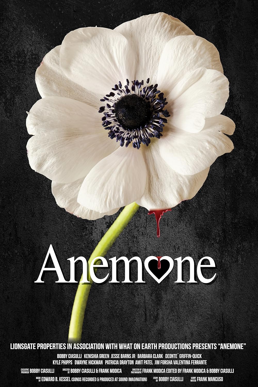 Anêmona